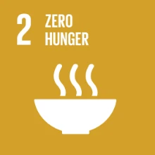 UN SDG 2 — Zero hunger