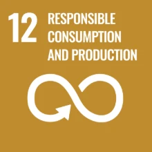 UN SDG 12 — Responsible consumption and production