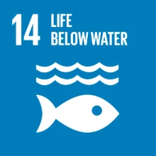 UN SDG 14 — Life below water